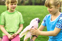 two girls holding a parrot