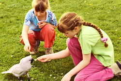 two girls feeding a parrot